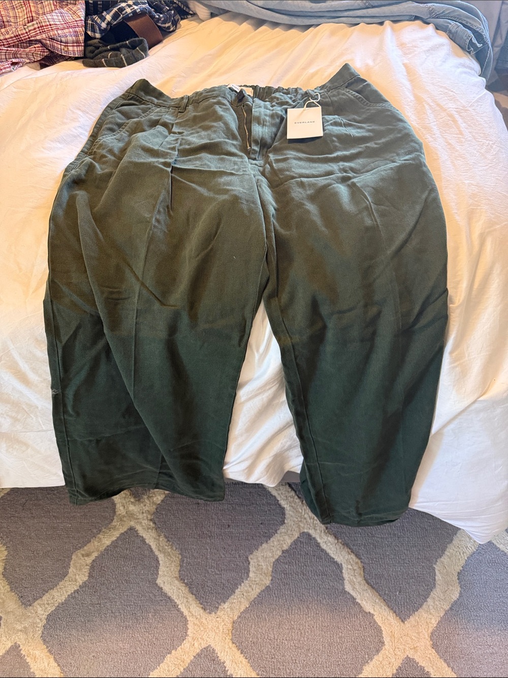 Everlane Wide-Leg Trouser in Buttersmooth Olive Green